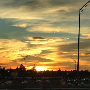 Meet your Posher, Elena